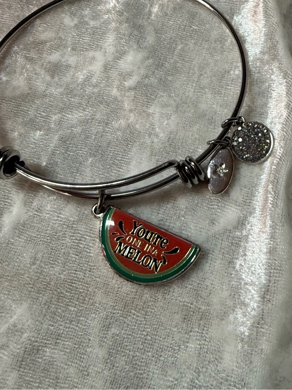 Unwritten Watermelon Charm Bangle Bracelet Silver Tone You’re One in a Melon